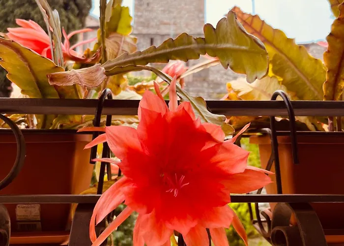 The Queen Tower Desenzano del Garda