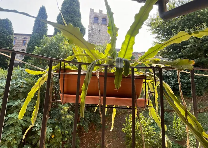 The Queen Tower Bed & Breakfast 4*