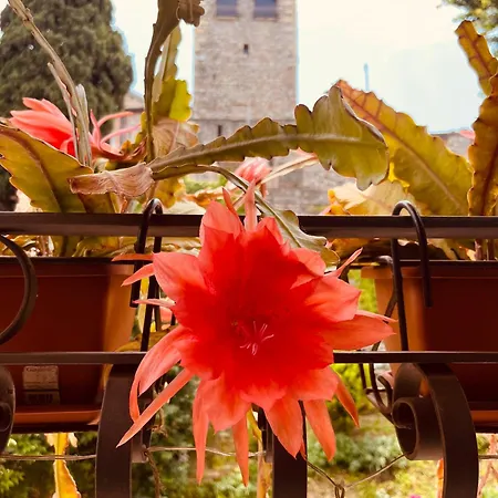 The Queen Tower Desenzano del Garda